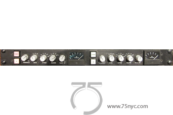 Enlarged view of image